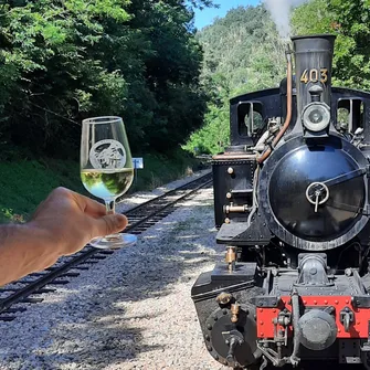 Wine tasting along the Doux river by the Train de l’Ardèche