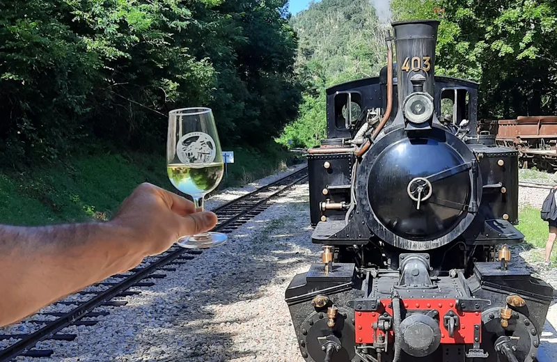 Wine tasting along the Doux river by the Train de l’Ardèche