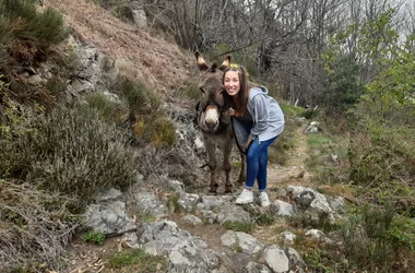 Half-day hikes with donkeys