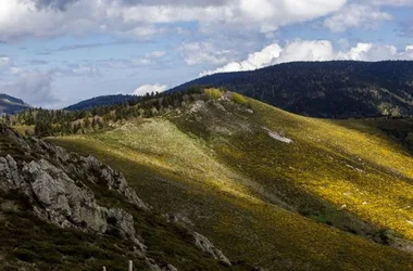 Chemin Faisant - Les Monts d'Ardèche en liberté