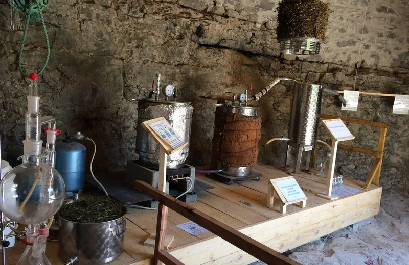 L'atelier de distillation