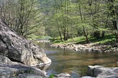 Rivière Daronne