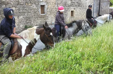 Guided Hike on horseback  – Equitation Chavetourte