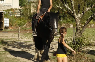 Educational horse riding with Soi Equestre