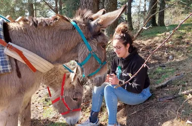 Half-day hikes with donkeys
