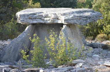dolmens-bois-des-geandes-bourg-saint-andeol