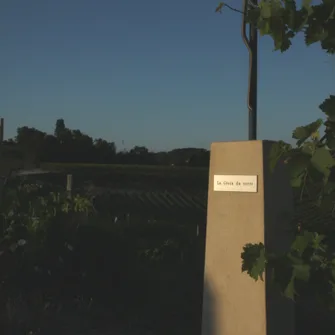 Winery Olivier Dumaine – Domaine de la Croix du Verre