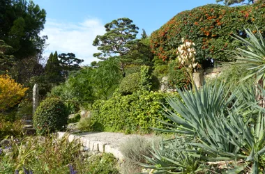 Jardin Zen E. Borja