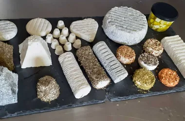 Variété de fromages