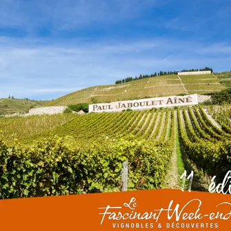 visit of the vineyards and wine tasting – Fascinant week-end Vignobles & Découvertes