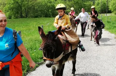 À la Bosse des ânes –  Hikes with pack donkeys