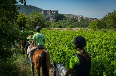 Alba site antique château cheval équitation vignes