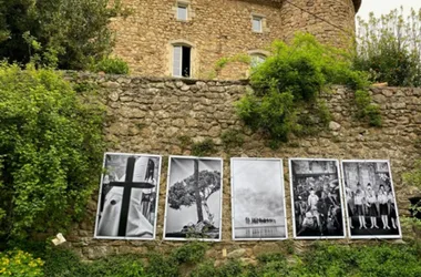 Exhibitions at the Château du Pin