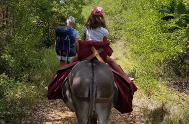 Randonner en itinérance avec un âne dans les Gorges de l'Ardèche