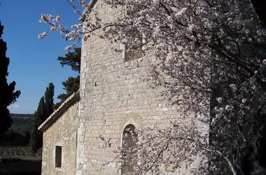 Eglise-Saint-Pierre-Larnas