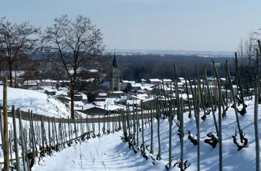 Winery Coursodon