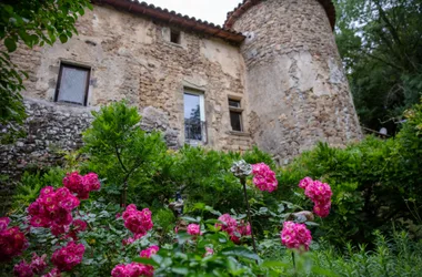 Fabras - Château du Pin - rosiers en fleurs ©sourcesetvolcans