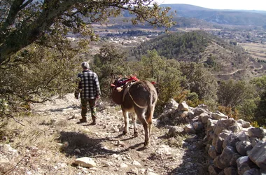 Hiking with a donkey – Trek’âne