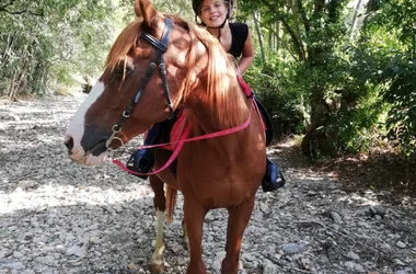 Educational horse riding with Soi Equestre
