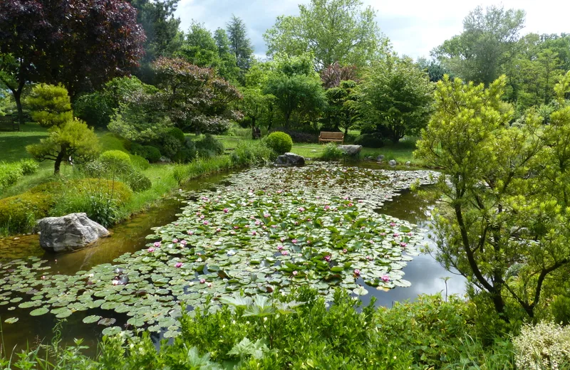 Rendez vous aux jardins  : jardin zen