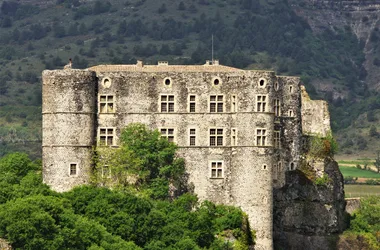 Chateau d'Alba La Romaine