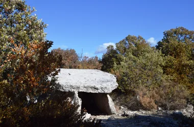 dolmen-de-champvermeil
