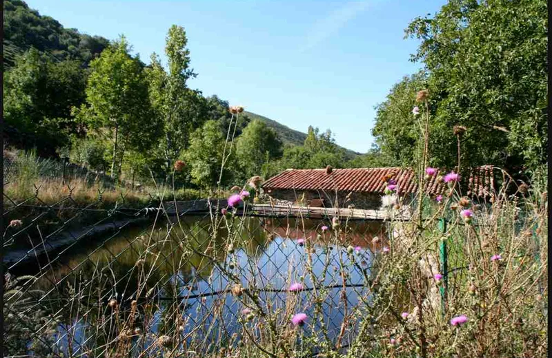 Le Moulin de Raoul
