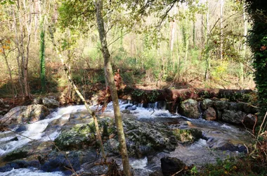 Les Blaches - Ruisseau Le Rantoine 2