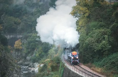 Le train fantôme – Train de l’Ardèche