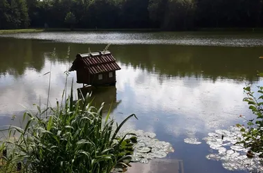 Chambres d’hôtes dans un ancien moulin, étang de 75 ares, pêche