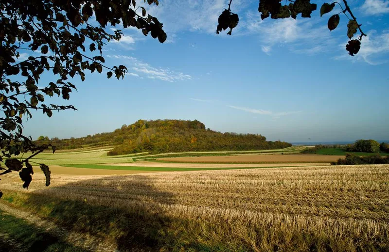 Route du Porcien