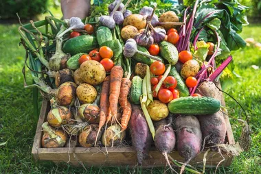 Marché à Buzancy