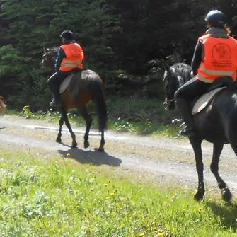 Ferme Equestre de la Croix Colas – Balades à cheval