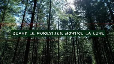 Projection “Quand le forestier montre la lune”