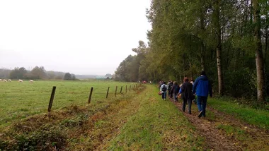 Faune et flore des bords de chemins