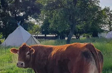 La ferme des grands-parents