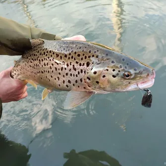 Pêche à l’étang d’Echarson