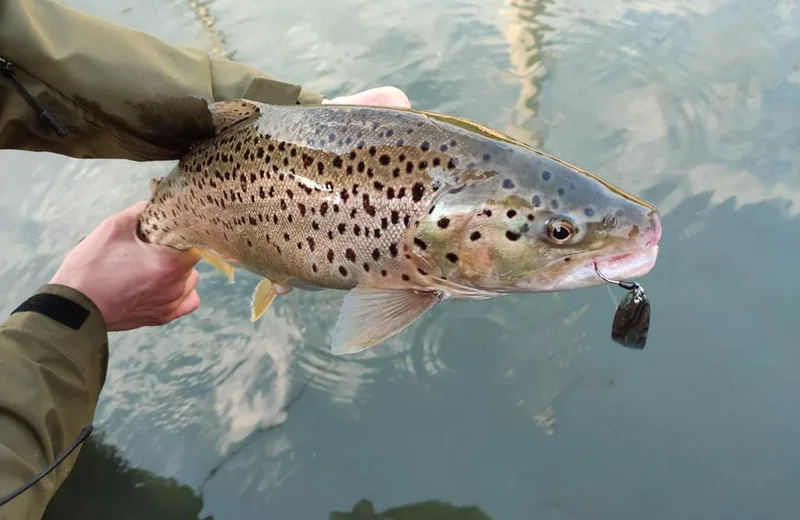 Pêche à l’étang d’Echarson