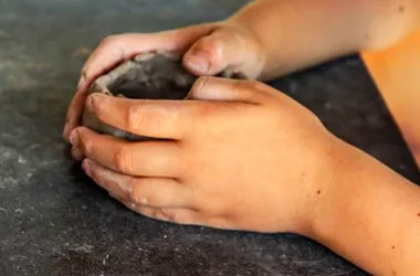 Visite Scolaire à Mont Cornu