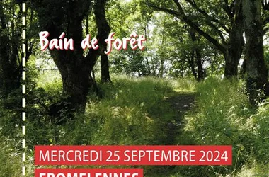 Bain de forêt