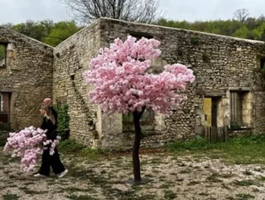 Théâtre : R.I.P. Cerisaie Le 22 nov 2024