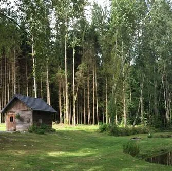 L’Echo de la Forêt