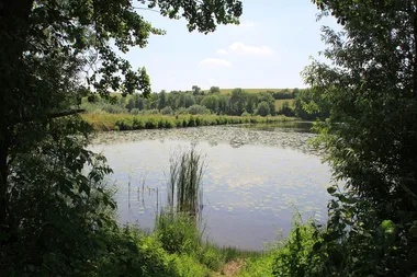Le vieil étang de Bairon