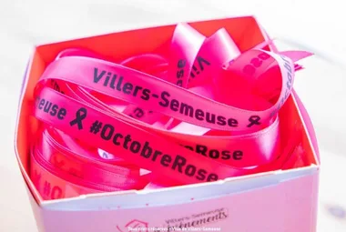 Manifestaton : La Villersoire Rose Le 19 oct 2024