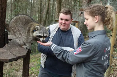 Animal keeper for a day - Participant + carer + raccoon - © Sophie BETTIG