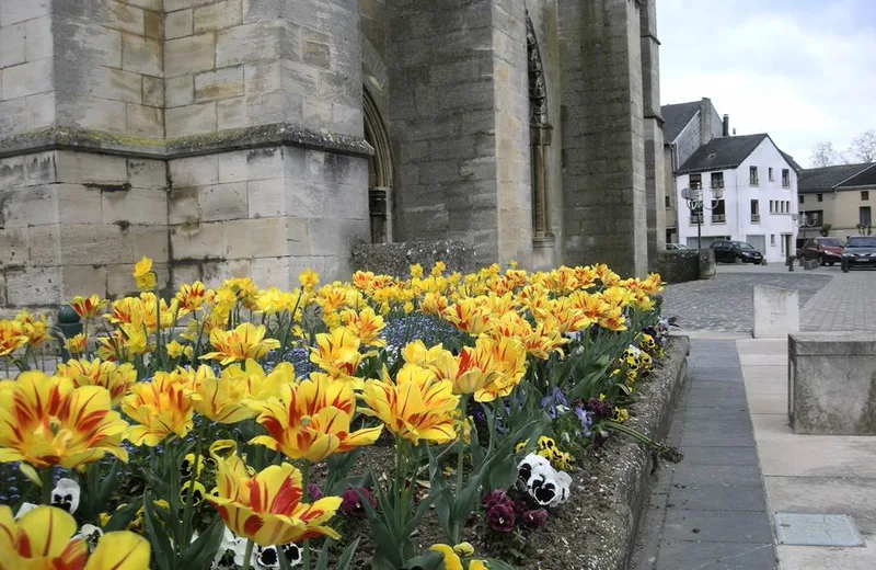 MOUZON, Ville Fleurie “2 Fleurs”