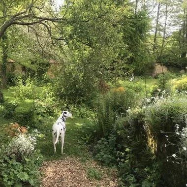 Visite du parc et du jardin du Château de Clavy-Warby