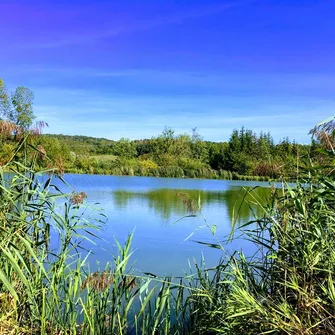 Étang de Pêche de Gironval