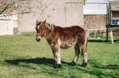 La Grange de mon grand-père – Gîte Amélie