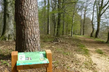 Vrigne Aux Bois Arboretum